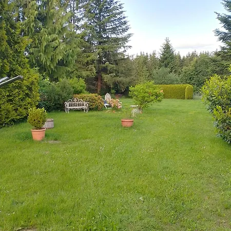 Waldblick Apartment Grossbreitenbach