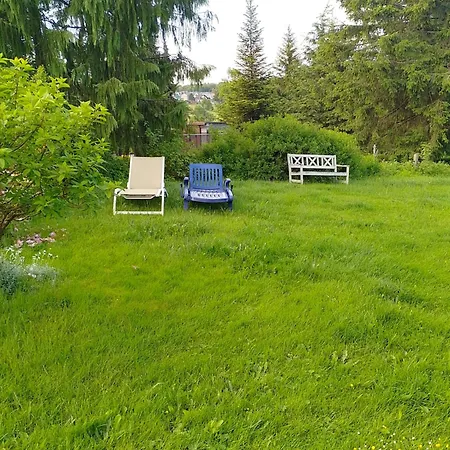 Waldblick Apartment Grossbreitenbach