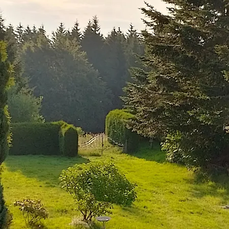 Waldblick